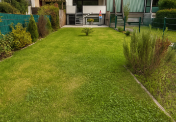 472950-Vorschaubild3