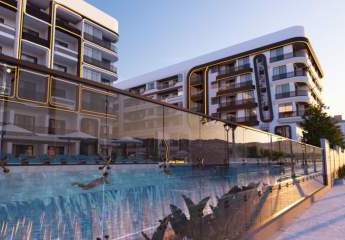 473202-Vorschaubild3