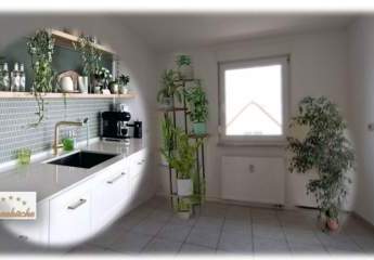 475452-Vorschaubild2