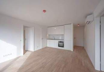 475275-Vorschaubild3