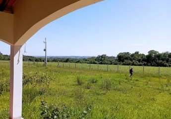 475759-Vorschaubild2