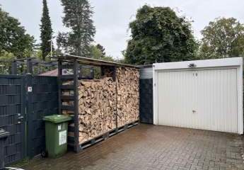 475896-Vorschaubild2