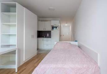 476010-Vorschaubild4