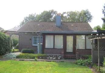 476353-Vorschaubild3