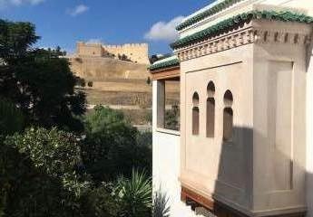 476876-Vorschaubild3