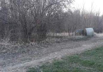 477044-Vorschaubild4