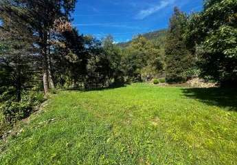 477400-Vorschaubild4