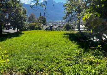 477400-Vorschaubild2