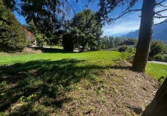 477400-Vorschaubild3