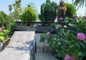 478017-Vorschaubild3