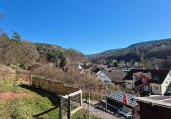 478503-Vorschaubild3