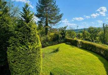 485627-Vorschaubild2