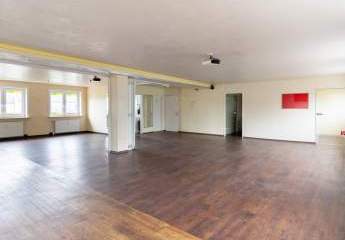 479582-Vorschaubild3