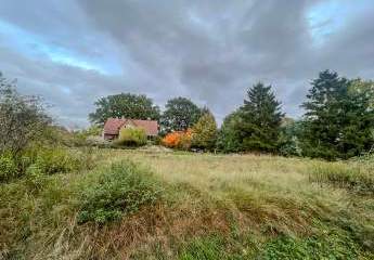 483046-Vorschaubild2