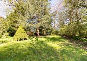 486209-Vorschaubild3