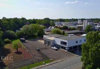 495189-Vorschaubild3