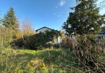 479413-Vorschaubild3