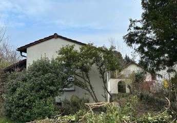 479413-Vorschaubild4