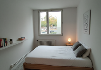 479747-Vorschaubild2