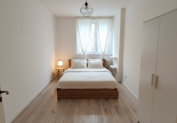 479747-Vorschaubild4