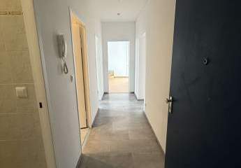 481413-Vorschaubild4