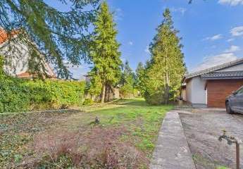 481414-Vorschaubild3