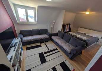 481005-Vorschaubild2