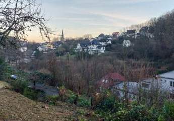 481281-Vorschaubild2