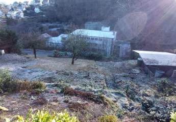 481281-Vorschaubild3