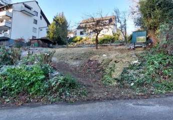 481281-Vorschaubild4