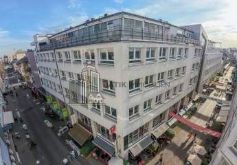 482036-Vorschaubild3