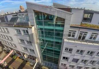 482036-Vorschaubild4