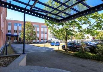 482159-Vorschaubild4