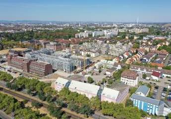 482161-Vorschaubild3