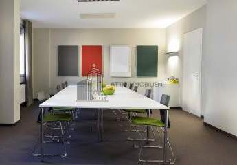 482162-Vorschaubild3