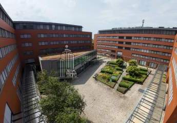 482388-Vorschaubild4