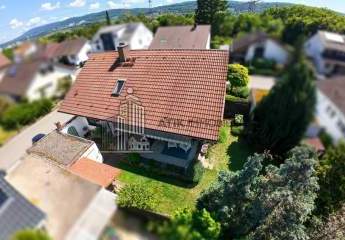 482395-Vorschaubild4