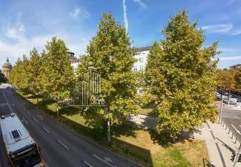 482400-Vorschaubild2
