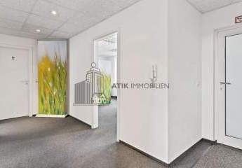 482415-Vorschaubild4