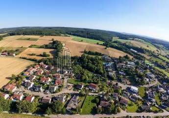 482417-Vorschaubild3