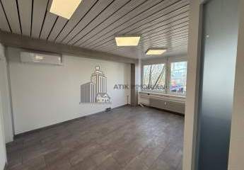 482424-Vorschaubild4