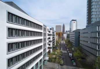 482439-Vorschaubild4