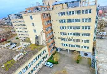 482446-Vorschaubild3