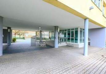 482446-Vorschaubild4