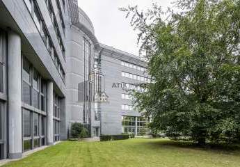 482447-Vorschaubild2