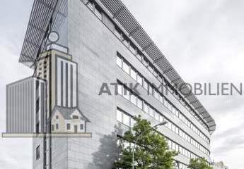 482447-Vorschaubild3