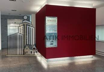 482448-Vorschaubild2