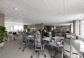 482448-Vorschaubild3