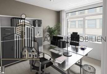 482448-Vorschaubild4