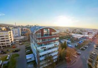 482453-Vorschaubild2